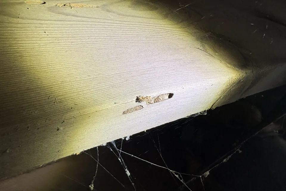 Original inspection photo showing a close view of a wooden floor joist