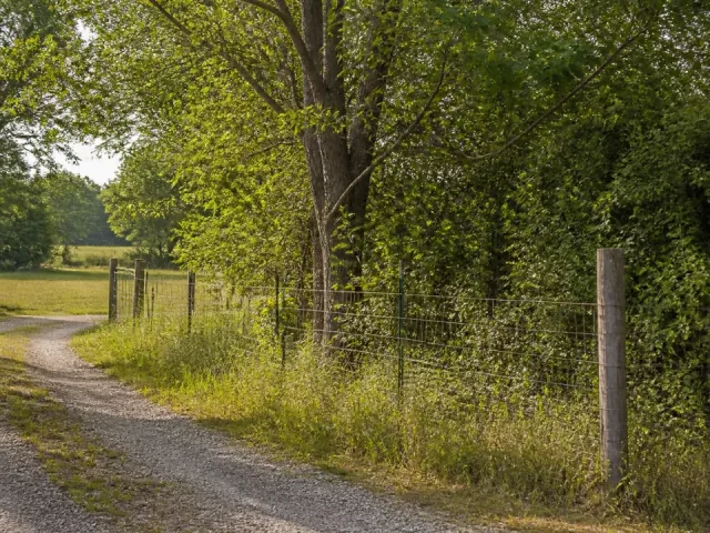 Illustrative example of a rural fence line and outdoor vegetation area