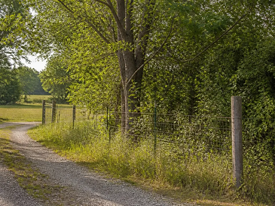 Illustrative example of a rural fence line and outdoor vegetation area